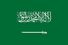 Saudi Arabia World Cup VN88