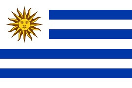 Uruguay World Cup VN88