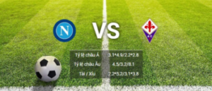 soi kèo Napoli-Vs-Fiorentina tại Serie A